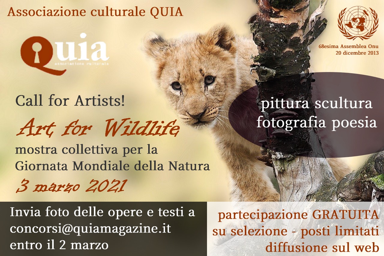 Art for Wildlife 2021 – Quia