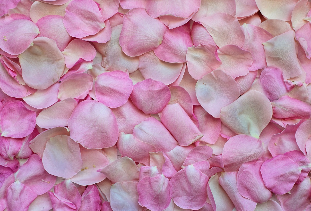 Insalata ricca con petali di rosa