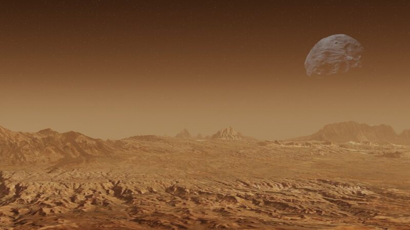 Elon Musk, ecco cosa ci aspetta nel futuro prossimo