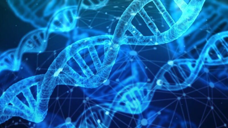 I microRNA – Una rivoluzione nella medicina moderna