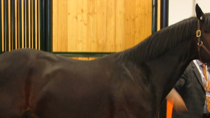 Varenne, The Captain