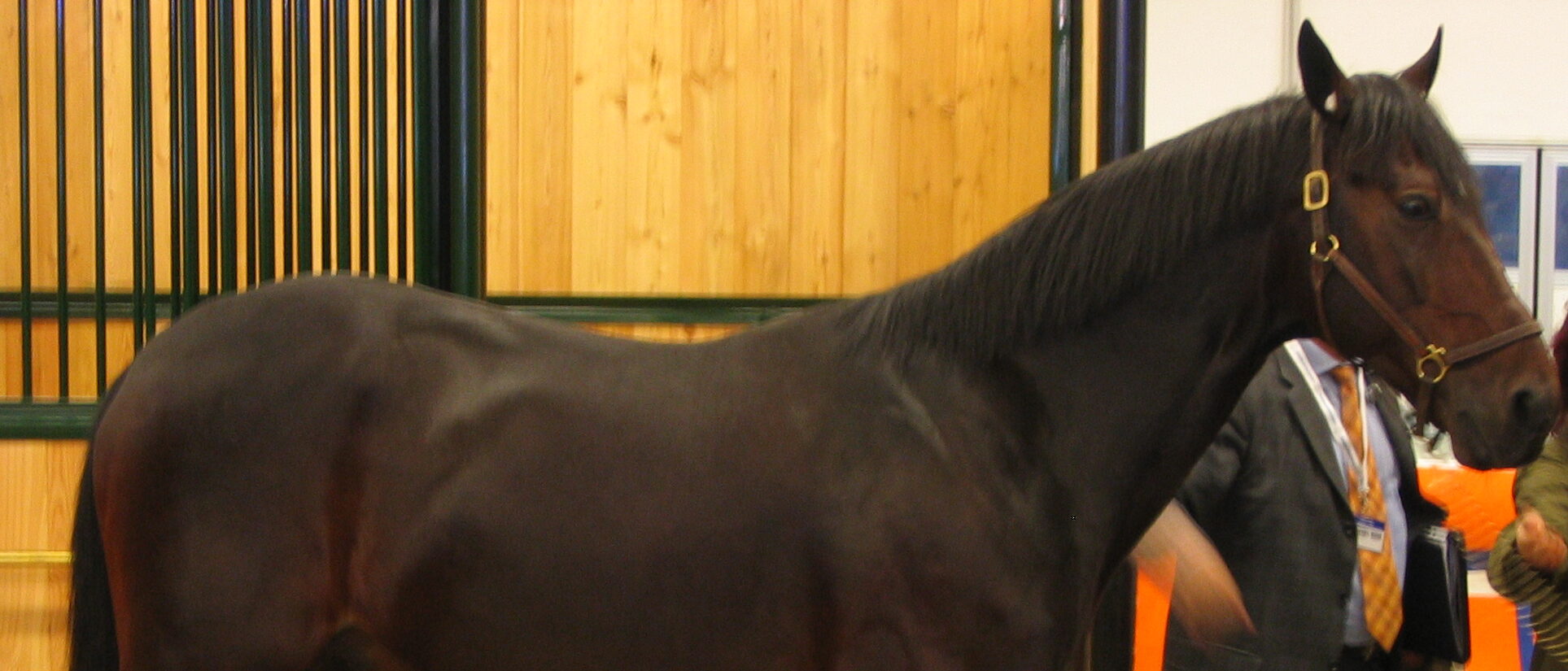 Varenne, The Captain