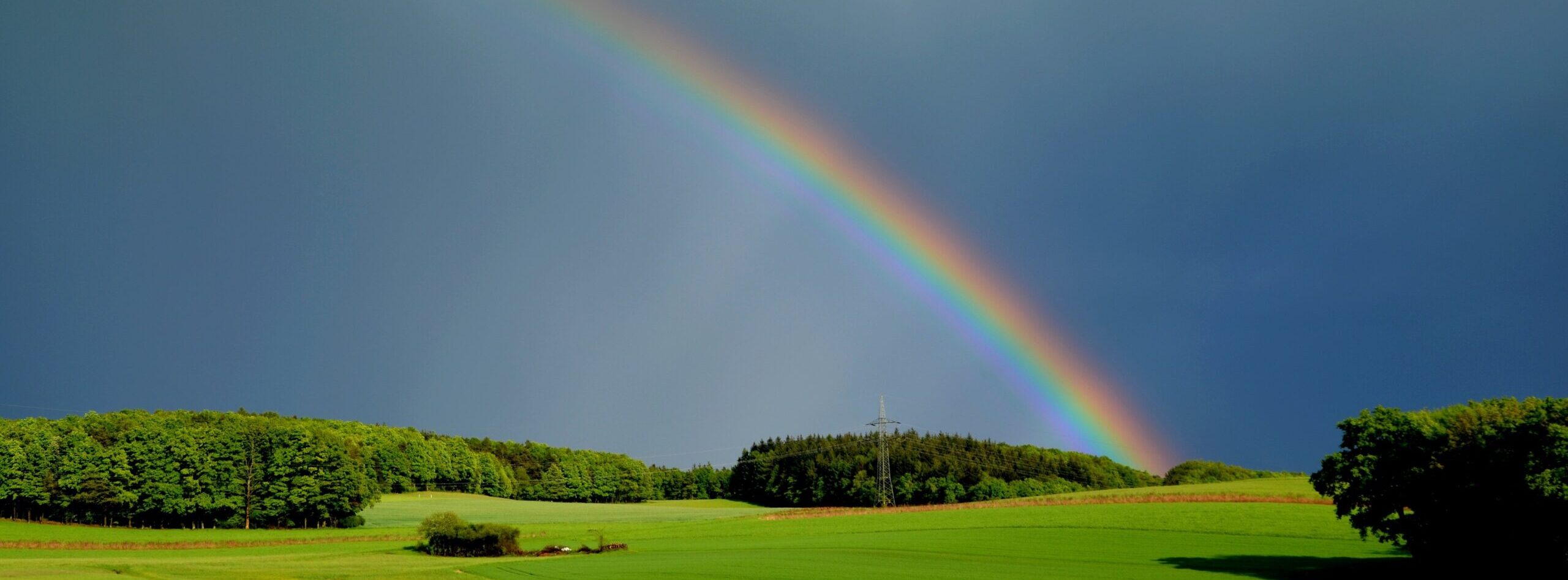 L’officina del cielo: anatomia di un arcobaleno (e perché il tuo è unico)