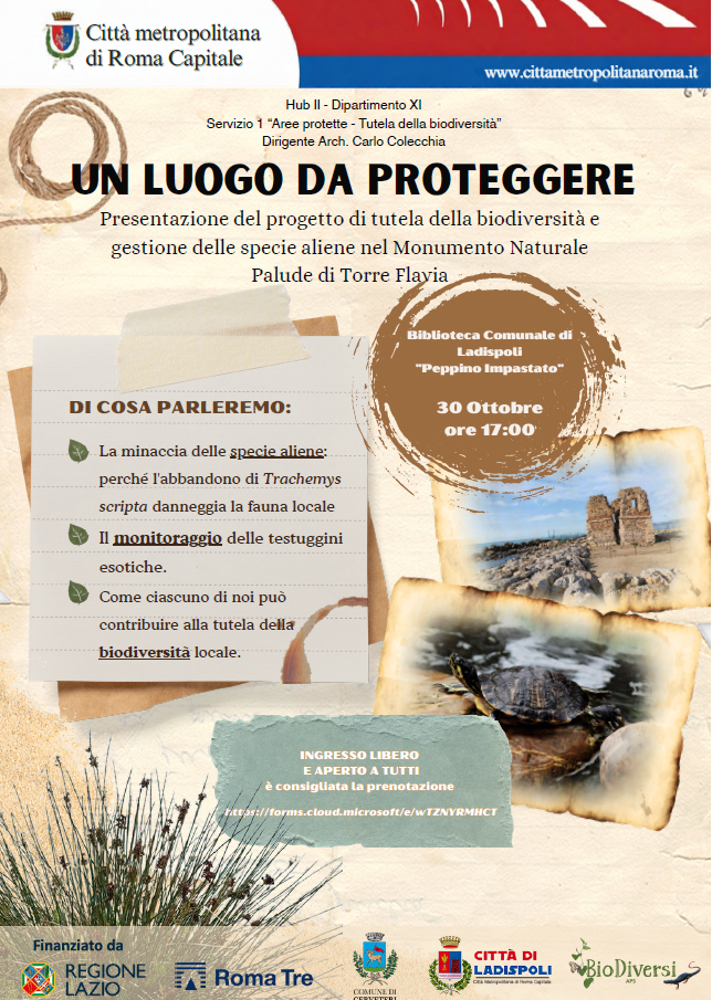 palude torre flavia ladispoli